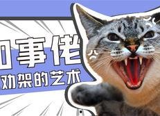 娱乐吃瓜君和罗小猫,揭秘娱乐圈背后的趣味故事