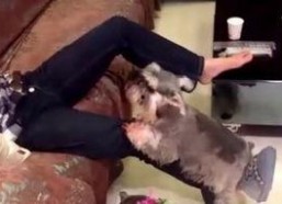 国产嘿咻,探索中国电影中的激情与禁忌