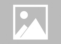 娱乐吃瓜酱红猫蓝兔